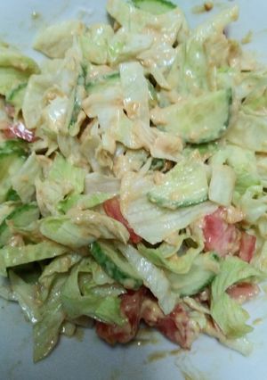 Foto resep Salad Sayur Simple