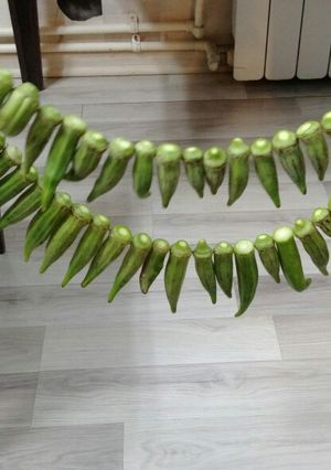 عکسی از دستور بامیه خشک