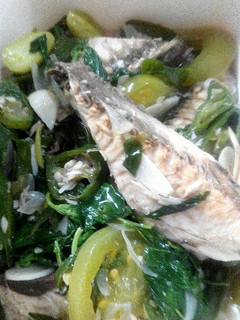Foto resep Tongkol tumis kemangi
