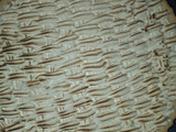 Pie de limon