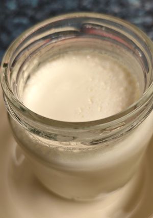 Una foto de Yogur griego en Thermomix 6