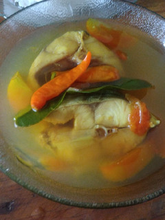 Foto resep Sop ikan gabus