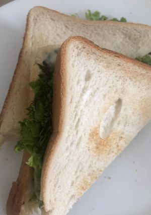 A picture of Shami kabab sandwich.