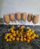 شیر ازگیل بستنی