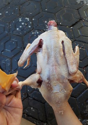 Foto resep Bebek goreng uweeenaak