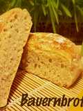 Bauernbrot - Farm Bread - Roti Kampung Jerman