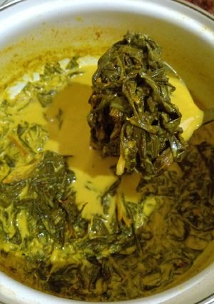 Foto resep Gulai daun singkong