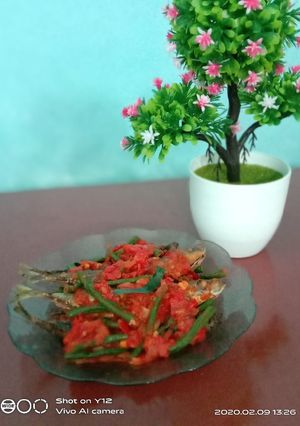 Foto resep Sambal ikan Sarai padang plus kacang panjang