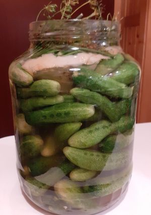 Kovászos uborka korianderrel recept fotója