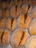 Bolas de fraile