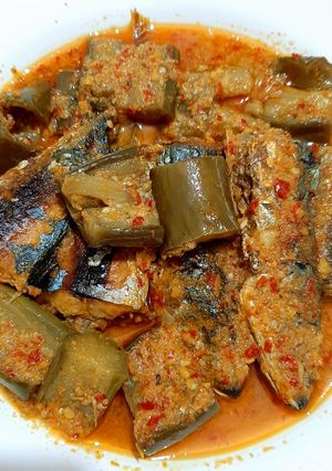 Foto resep Tongkol Terong Kuah Santen Pedes