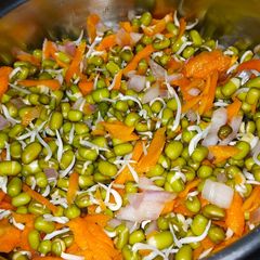 A picture of Green gram sprouts.