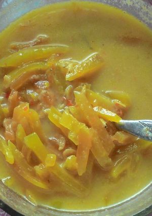 Foto resep Lodeh Pepaya Muda Praktis