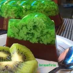 A picture of Puding Lumut Pandan Coklat.