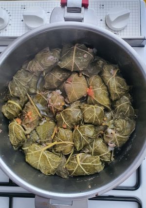 Une photo de Rouleaux de feuilles de vigne farcies à la viande