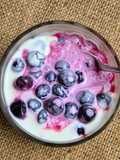 Yogur de leche de cabra 🐐 entero, natural, de fermentación prolongada en yogurtera 🐐