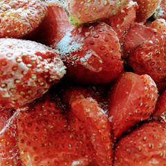 Frozen Strawberries for Milkshake in Sehri A picture of Frozen Strawberries for Milkshake in Sehri.