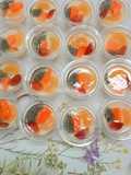 Puding Buah Cup