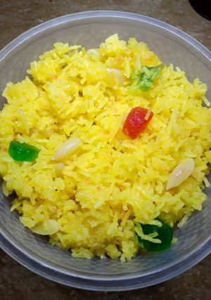 A picture of Zarda.