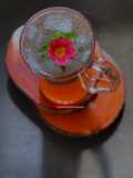 Rose Mojito