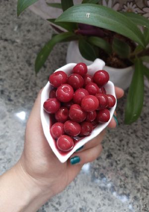 عکسی از دستور ترشی آلبالو