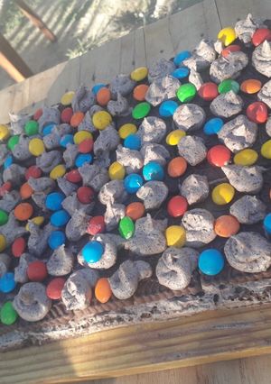 Una foto de Chocotorta