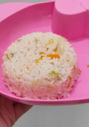 Foto resep Nasi Hainan Ricecooker