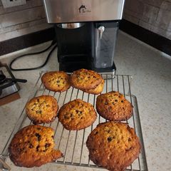 A picture of Chocolate Chip Cookies.