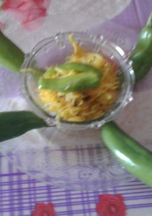 પપૈયા સંભારો (Papaya Sambharo Recipe in Gujarati) રેસીપી મુખ્ય ફોટો