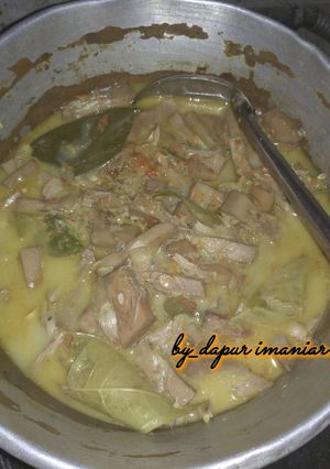 Foto resep Lodeh Nangka Sederhana