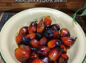 Gambar 26:10:25 - Manisan kelapa sawit