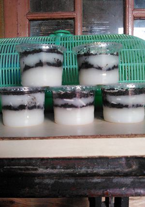 Foto resep Cheese cake oreo lumer