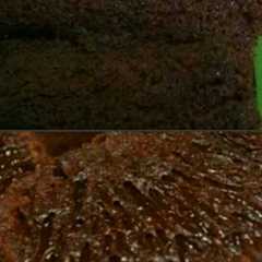 รูปของ Kue Sarang Semut