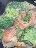 Chicken Broccoli in Alfredo Sauce