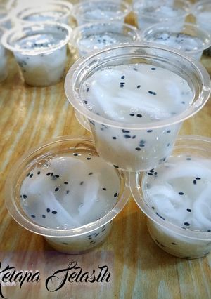 Foto resep Puding Kelapa KW Selasih