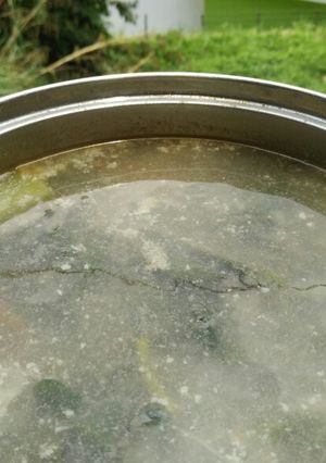 Foto resep Sayur Asem Berenang