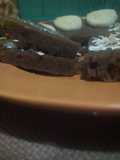 Choco egg cake