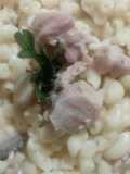 Creamy pasta