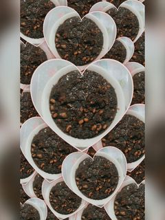 عکسی از دستور 🌷قورمه سبزی با لوبیا چشم بلبلی🌷