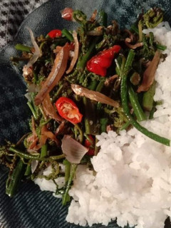 Foto resep Tumis pakis teri