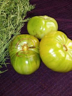 عکسی از دستور ترشی گوجه نرسیده(کال)