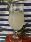 Falso Mojito
