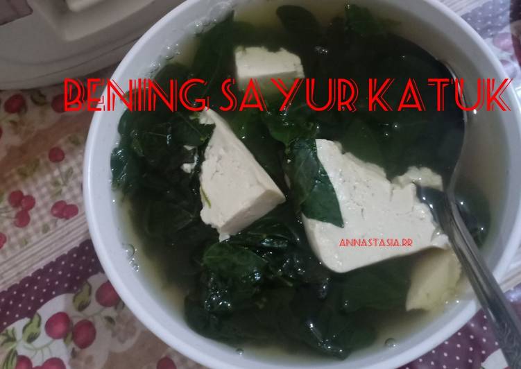 Cara Gampang Menyiapkan Bening sayur katuk yang Lezat