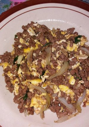 Foto resep Tumis daging cincang plus telor orak arik