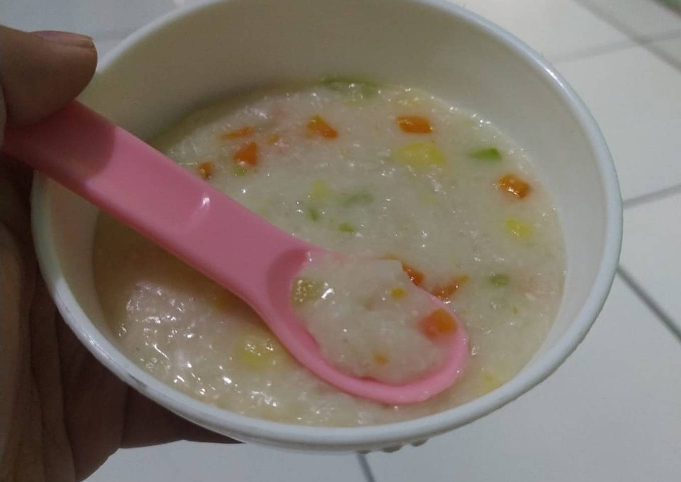 MPASI Bubur Sayur Tofu Keju (9M+)
