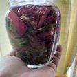 Foglie di rapa rossa sott'olio