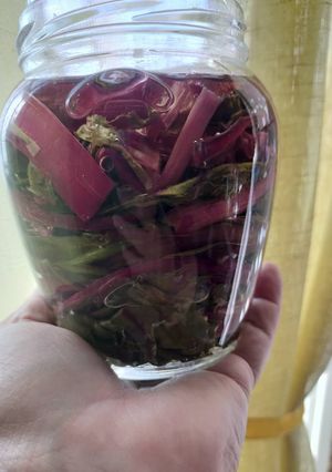 Foto di Foglie di rapa rossa sott'olio