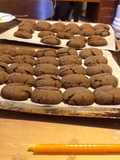 Secret of the Gingersnap Cookies