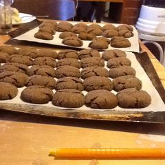 A picture of Secret of the Gingersnap Cookies.