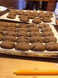 A picture of Secret of the Gingersnap Cookies.